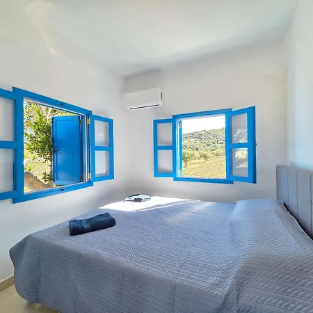 Vila Olive Dream