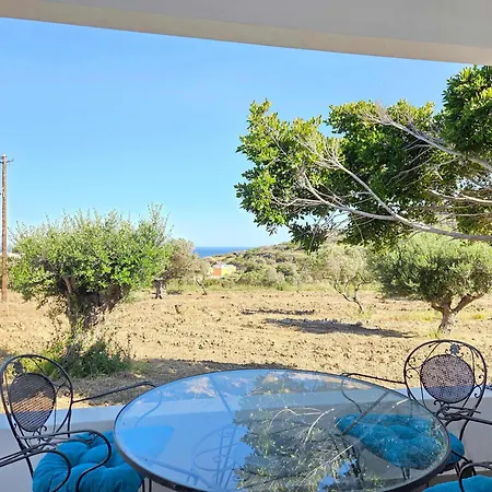 Olive Dream