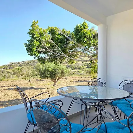 Olive Dream Vila